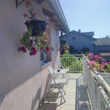 Vila Lux Apartmans-vila Mali Raj Udovice